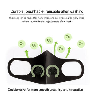 Reusable Face Mask